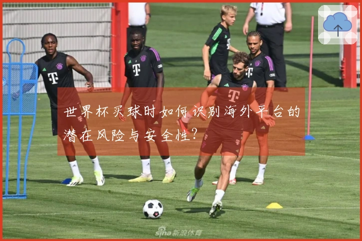 世界杯买球时如何识别海外平台的潜在风险与安全性？