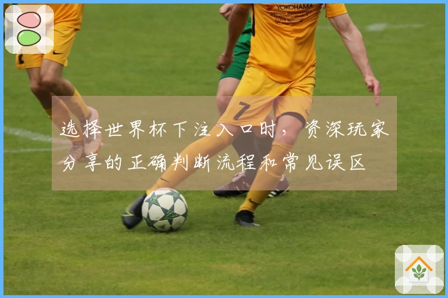 选择世界杯下注入口时，资深玩家分享的正确判断流程和常见误区